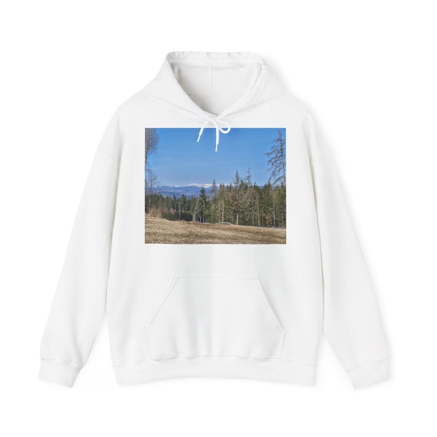 Unisex Heavy Blend Hooded Sweatshirt