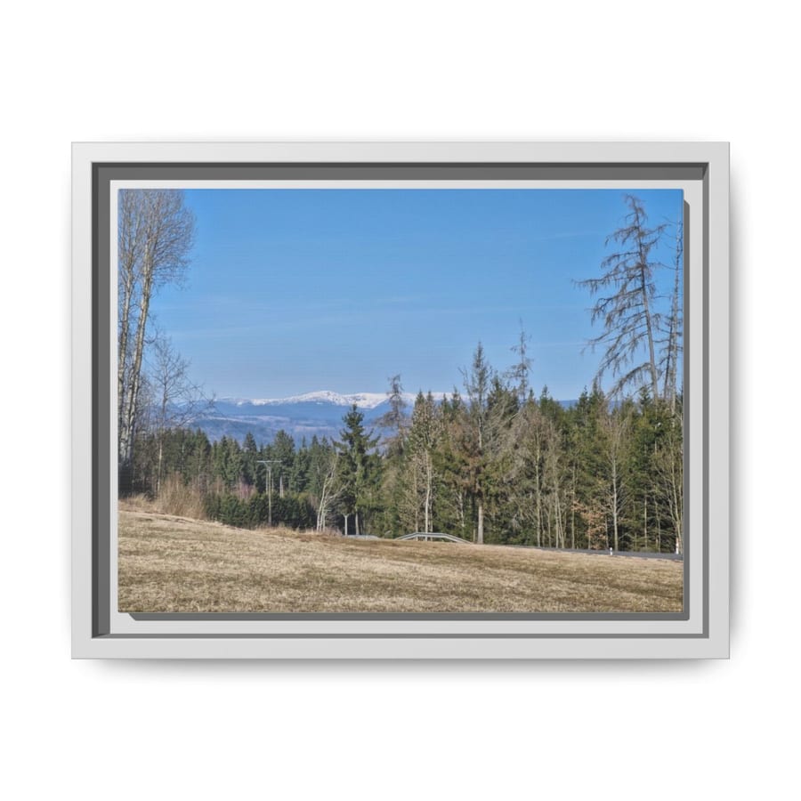 Framed Prints