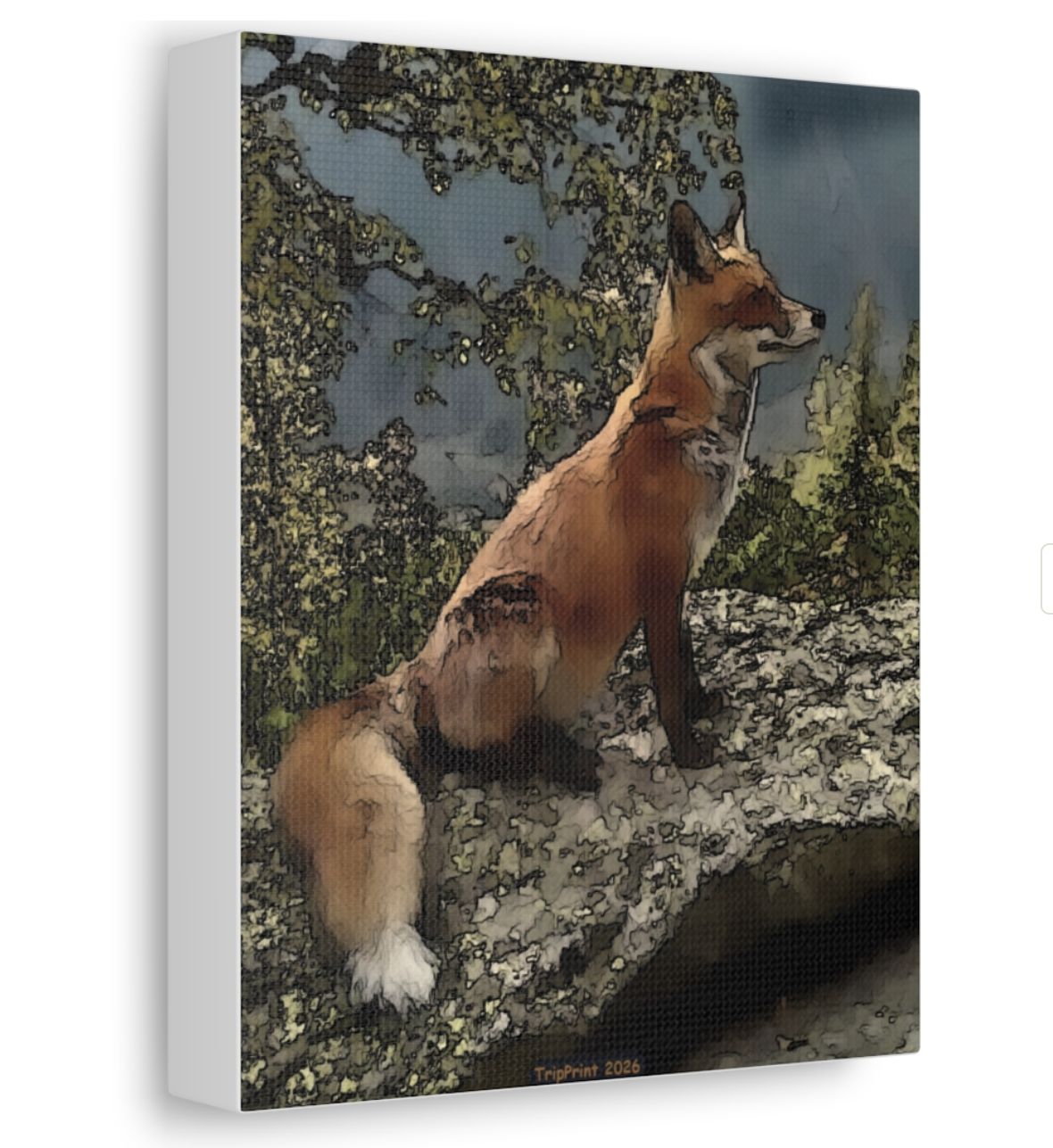 Mountain Fox — Canvas Print